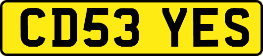 CD53YES