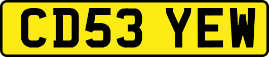 CD53YEW