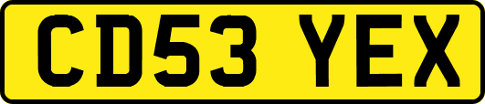 CD53YEX