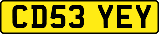 CD53YEY