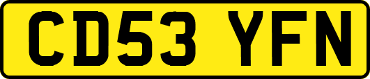 CD53YFN