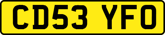 CD53YFO