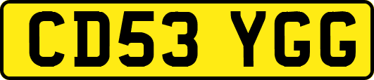 CD53YGG