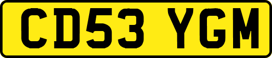CD53YGM