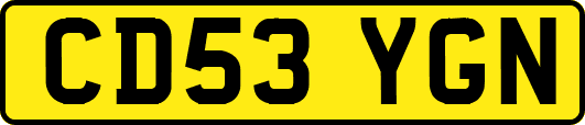 CD53YGN