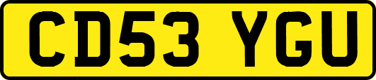 CD53YGU