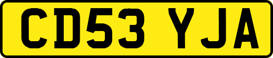 CD53YJA