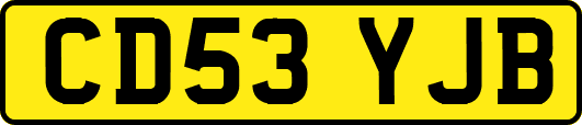 CD53YJB
