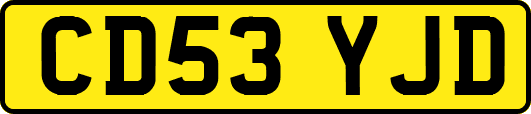 CD53YJD