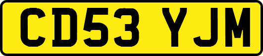 CD53YJM