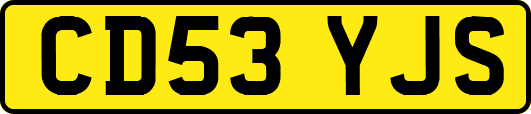 CD53YJS