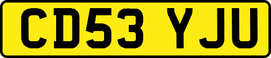 CD53YJU