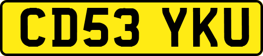 CD53YKU