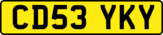 CD53YKY