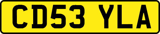 CD53YLA