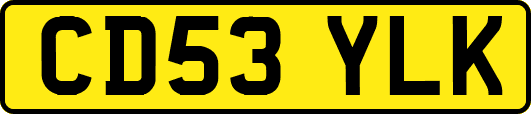 CD53YLK