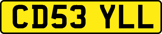 CD53YLL