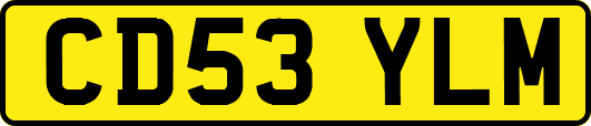 CD53YLM