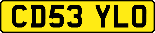 CD53YLO