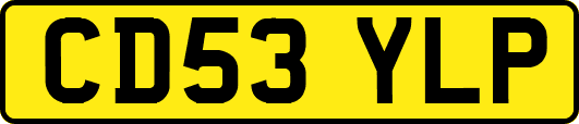 CD53YLP