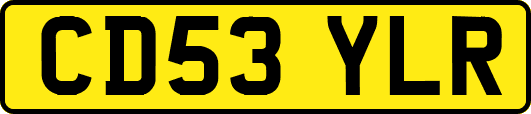CD53YLR