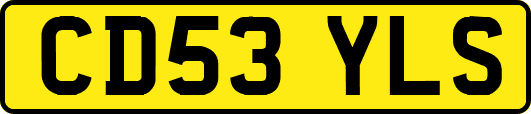 CD53YLS