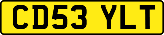 CD53YLT
