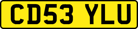 CD53YLU