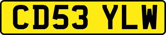 CD53YLW