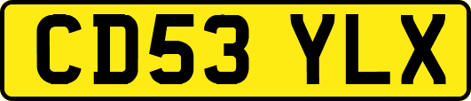 CD53YLX