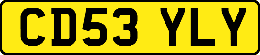 CD53YLY