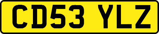 CD53YLZ