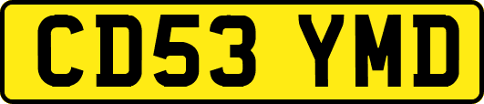 CD53YMD