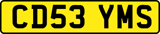 CD53YMS