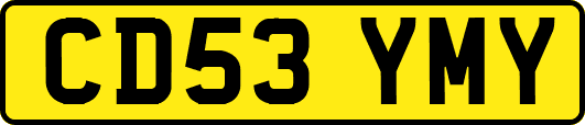 CD53YMY