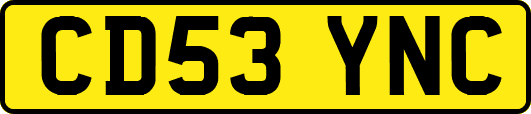 CD53YNC