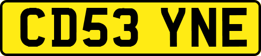 CD53YNE