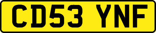 CD53YNF