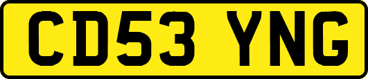 CD53YNG