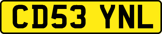 CD53YNL