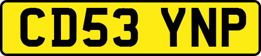 CD53YNP