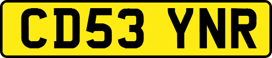 CD53YNR