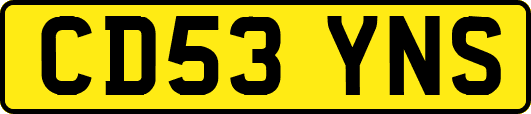 CD53YNS
