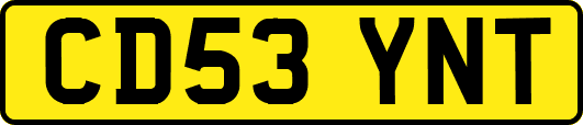 CD53YNT