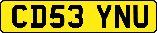 CD53YNU