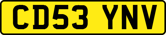 CD53YNV