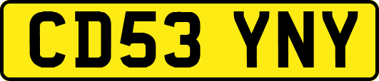 CD53YNY
