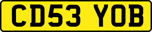 CD53YOB