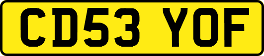 CD53YOF