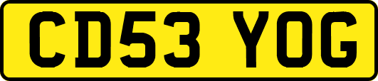 CD53YOG